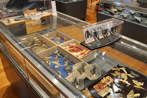 土佐模型クラブ7