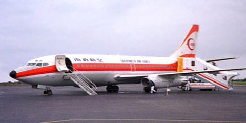 トランスオーシャンB737実機