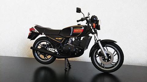 RZ250