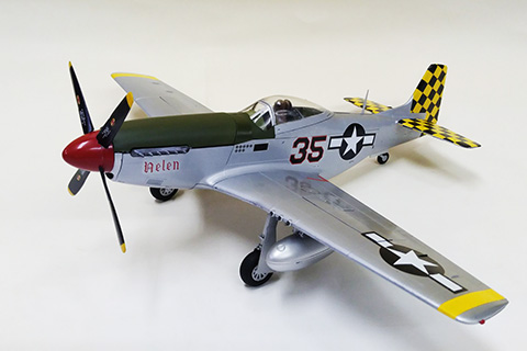 P51D01